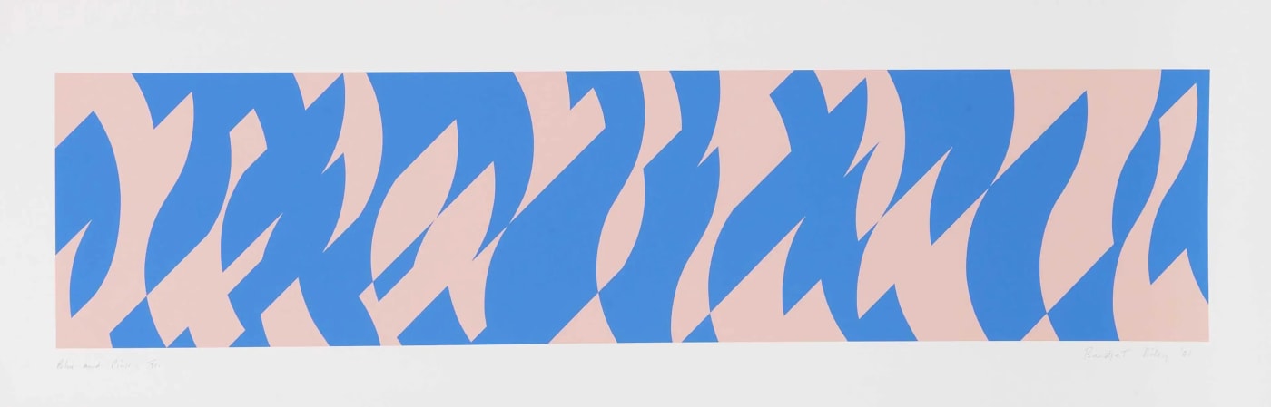 Bridget Riley, Blue And Pink, 2001