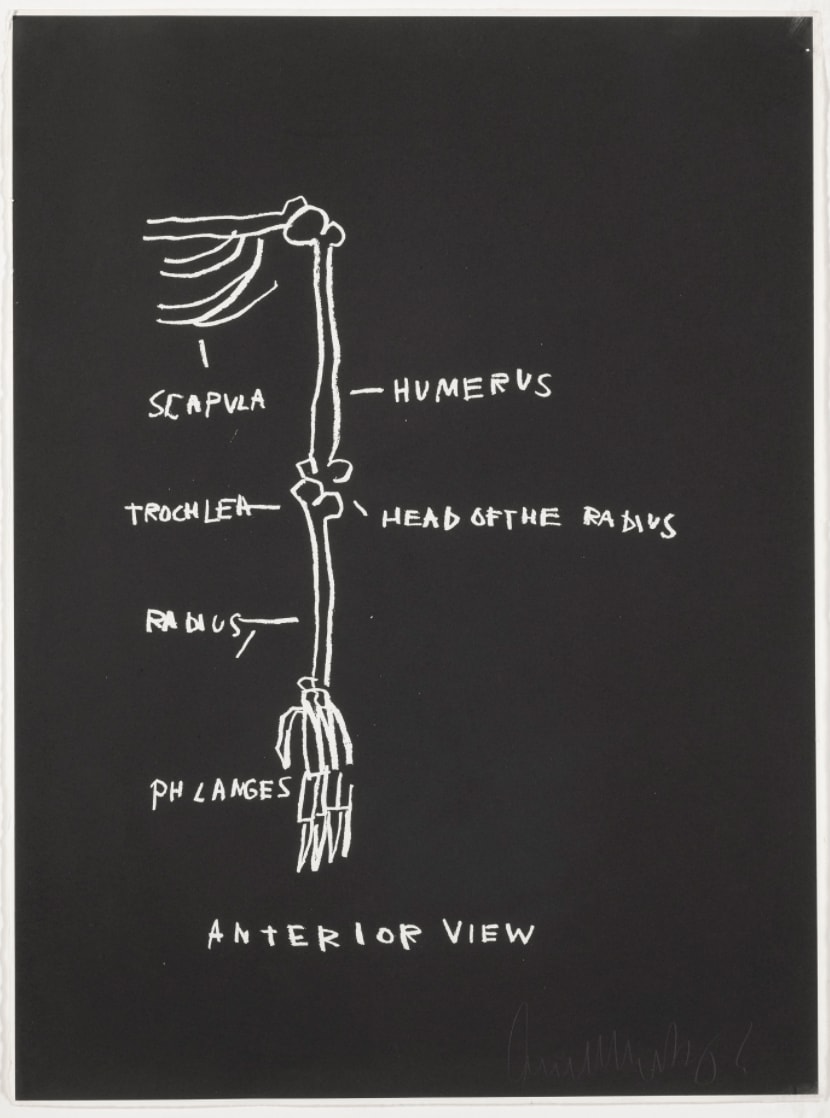 Jean-Michel Basquiat, Anterior View, from Anatomy, 1982
