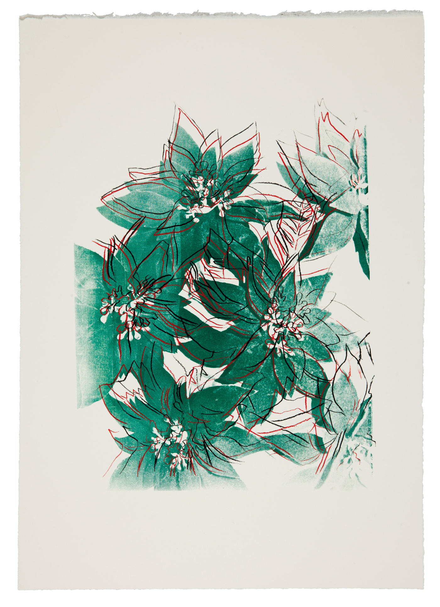 Andy Warhol, Poinsettias F.S. IIIA 51, 1983