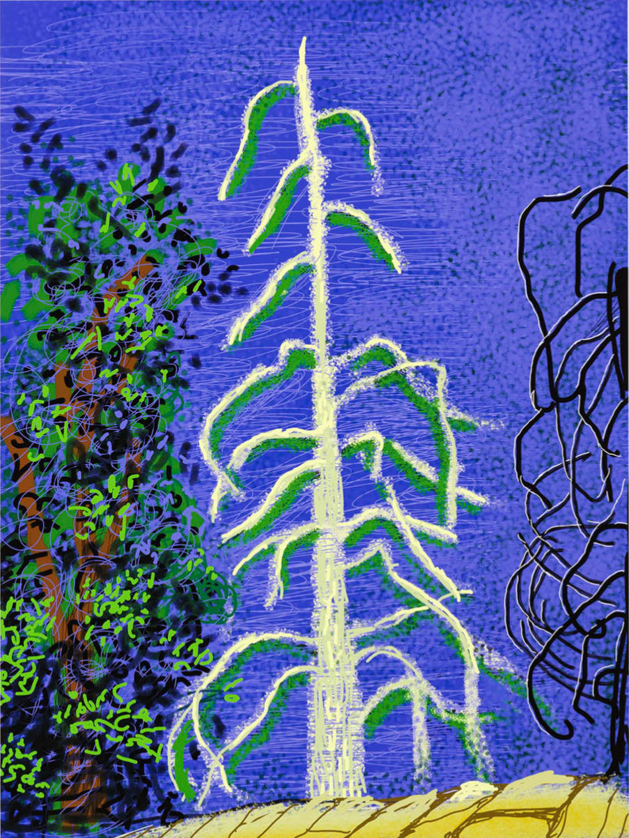 David Hockney, The Yosemite Suite No. 14, 2010
