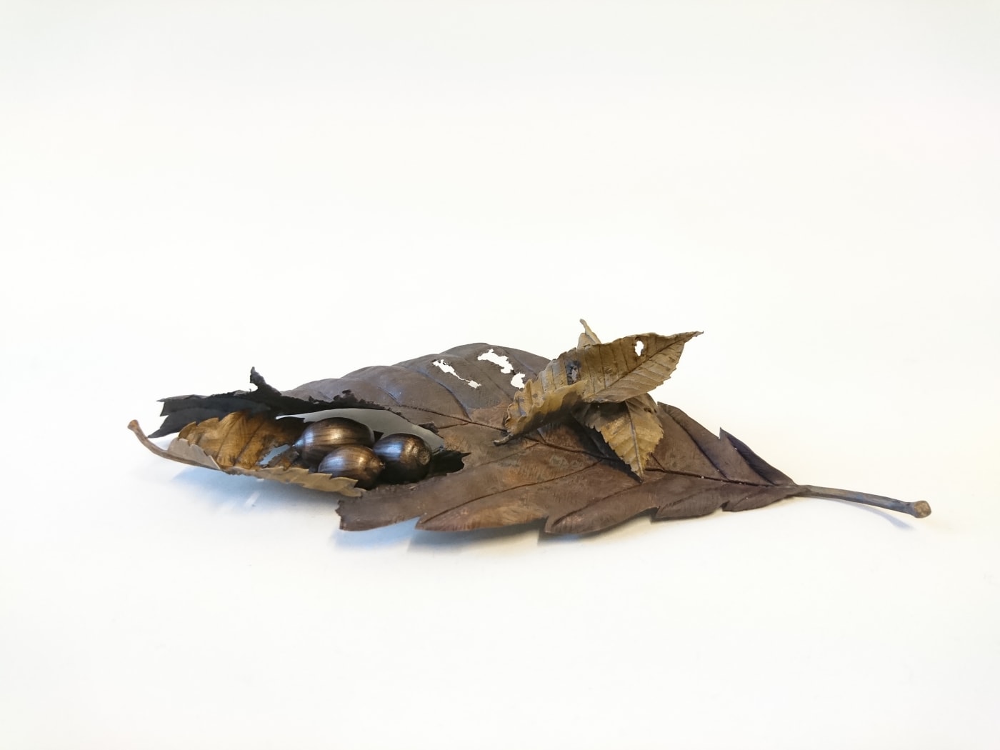 Shota Suzuki, Tiny Piece of Autumn, 2019