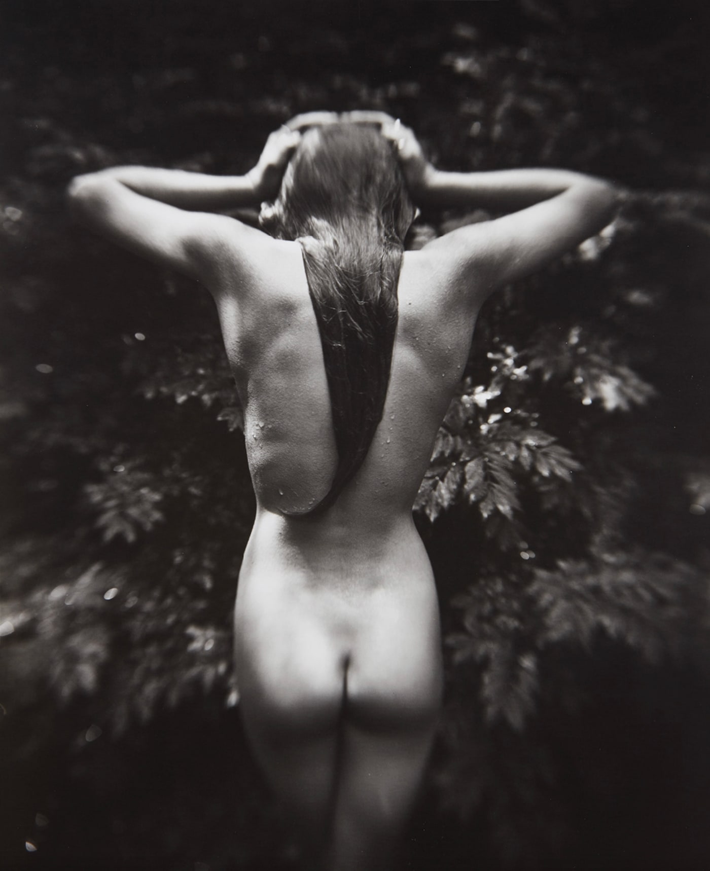 Sally Mann, Punctus, 1992