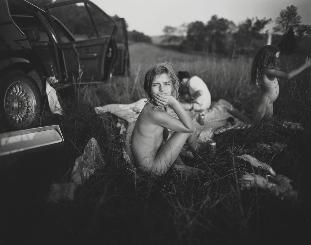 Sally Mann, Luncheon in the Grasses, 1991