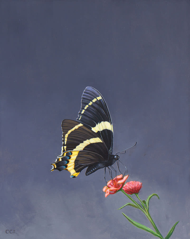 Christopher Clamp, FLIGHT III, 2018