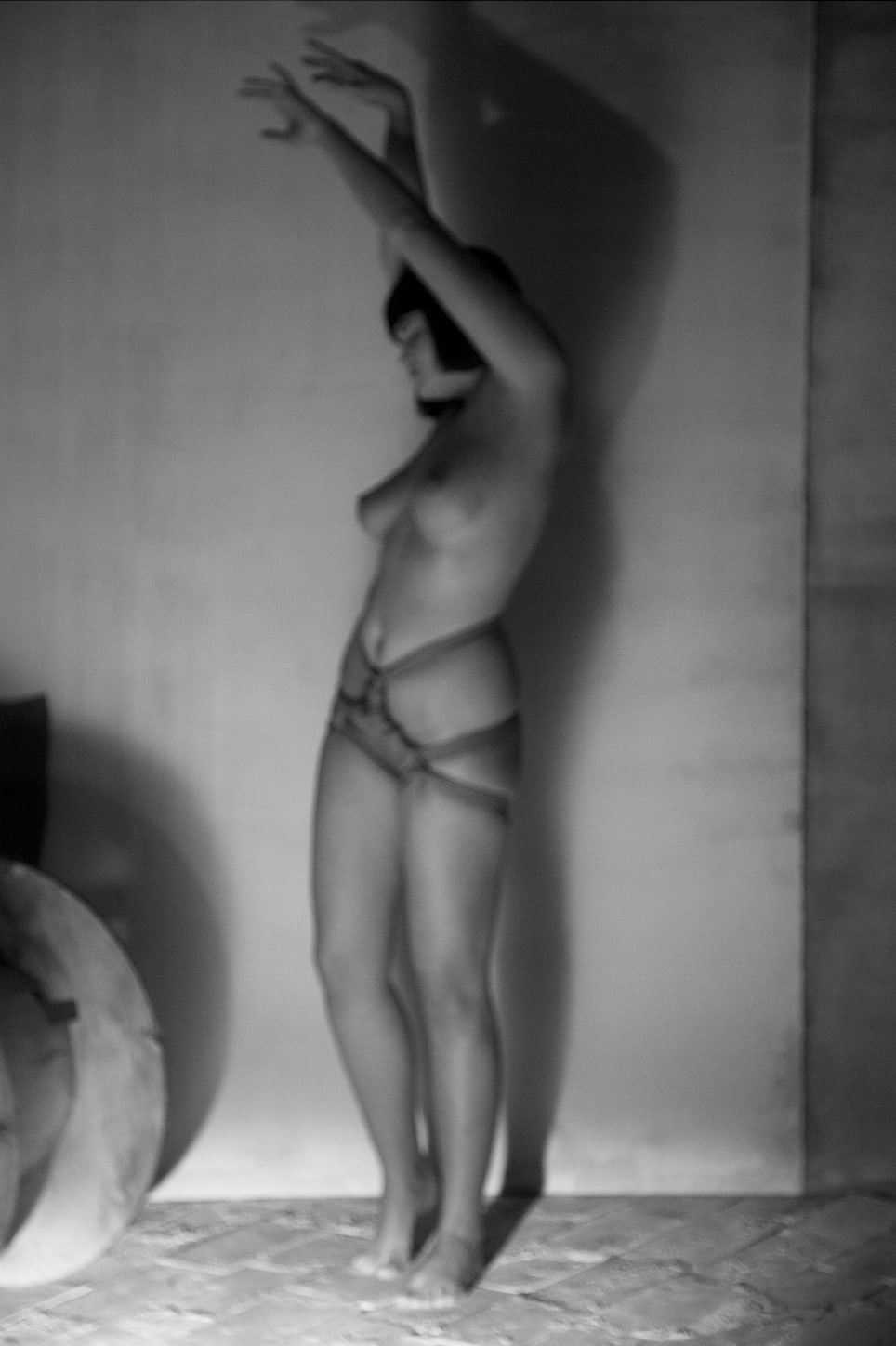 Julian Marshall, In the Service of the Mind (i), 2014