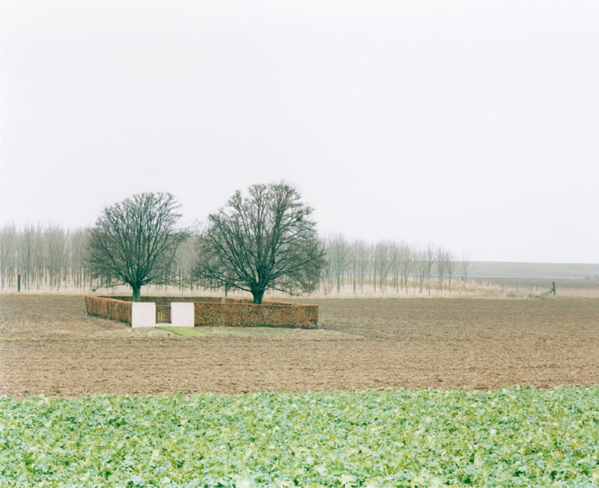 Aymeric Fouquez Héninel, France Tirage C-print et encadrement réalisés par l'artiste Dim. papier: 22 x 18 cm