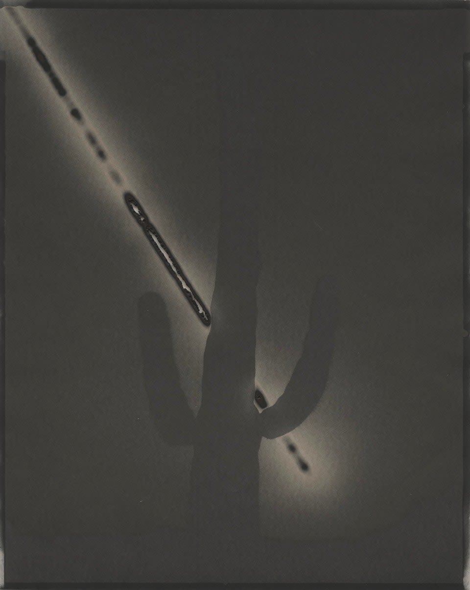 Chris McCaw, Sunburned GSP #998 (Arizona), 2018