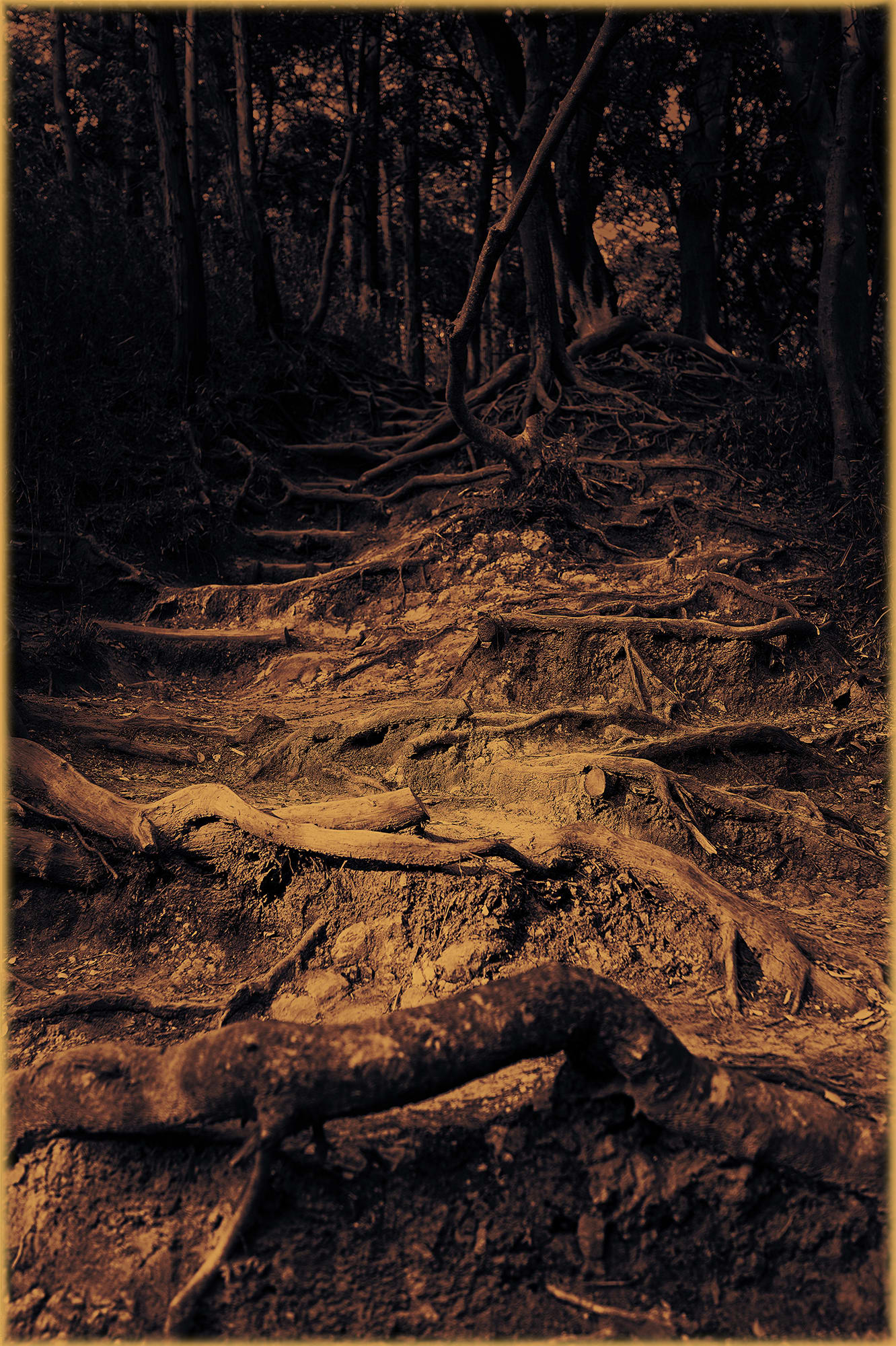 Albarrán Cabrera, The Mouth of Krishna #994, 2020