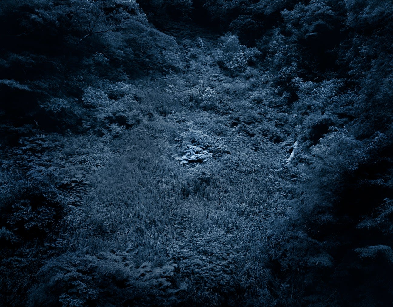 Yojiro Imasaka, Illuminating Earth 147 - C53 June 3, 2020, 2020