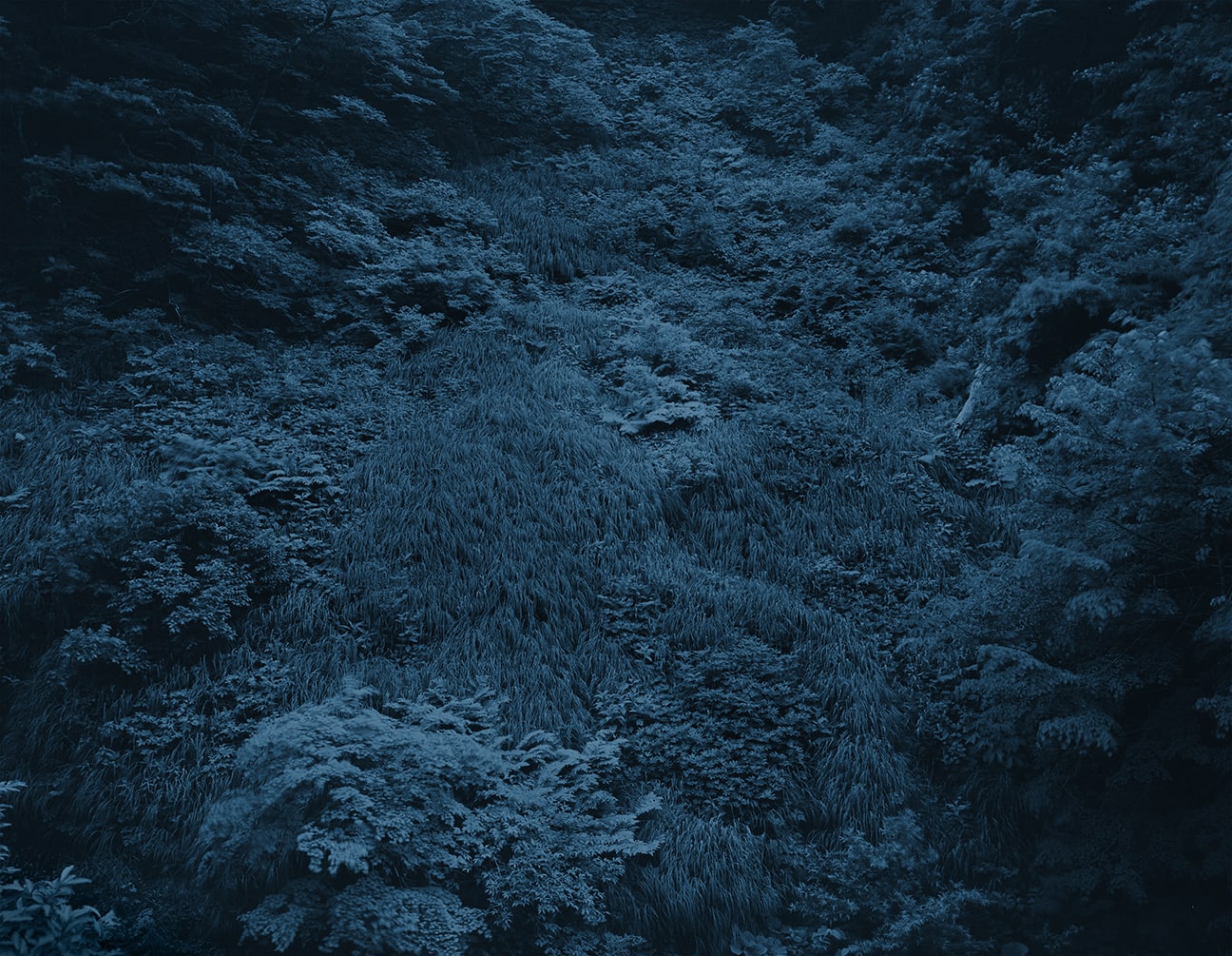 Yojiro Imasaka, Illuminating Earth 144 - C38 June 2, 2020, 2020