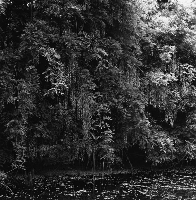Issei Suda, Yanagawa-shi, Fukuoka 1979, 1979