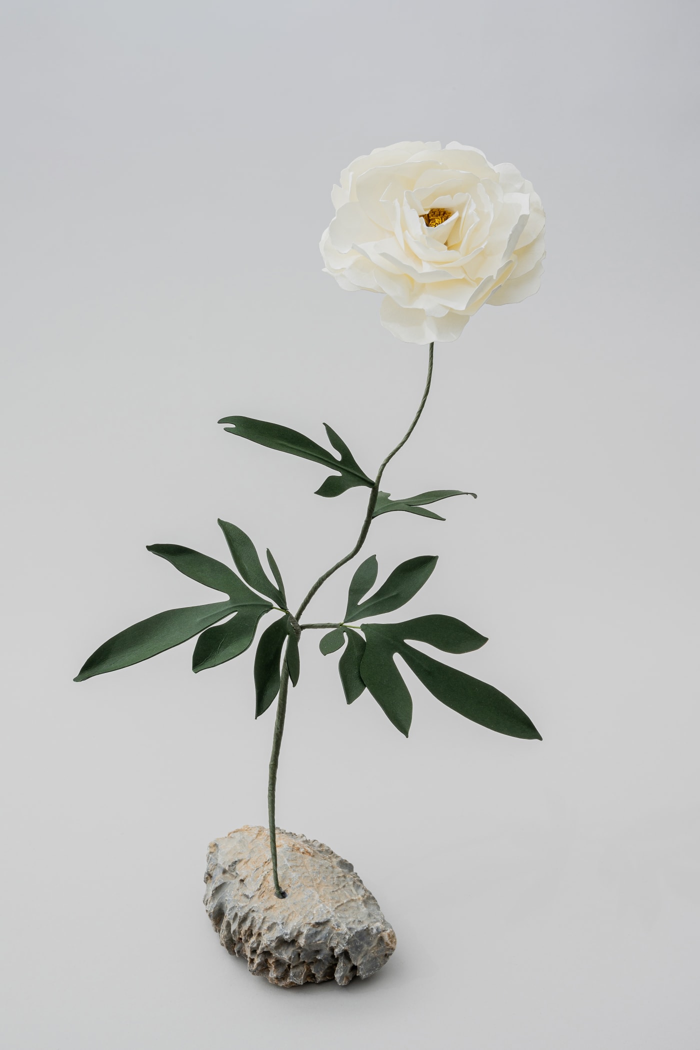 Megumi Shinozaki, Peony, 2020