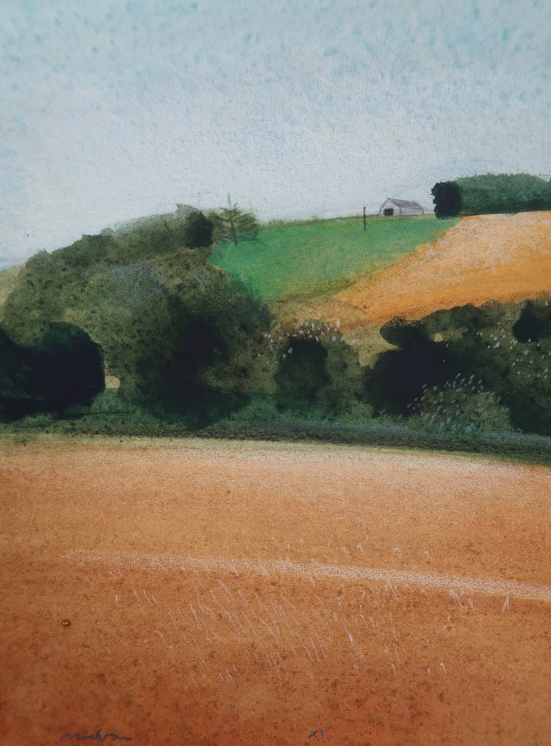 Tom Mabon, Summer XI