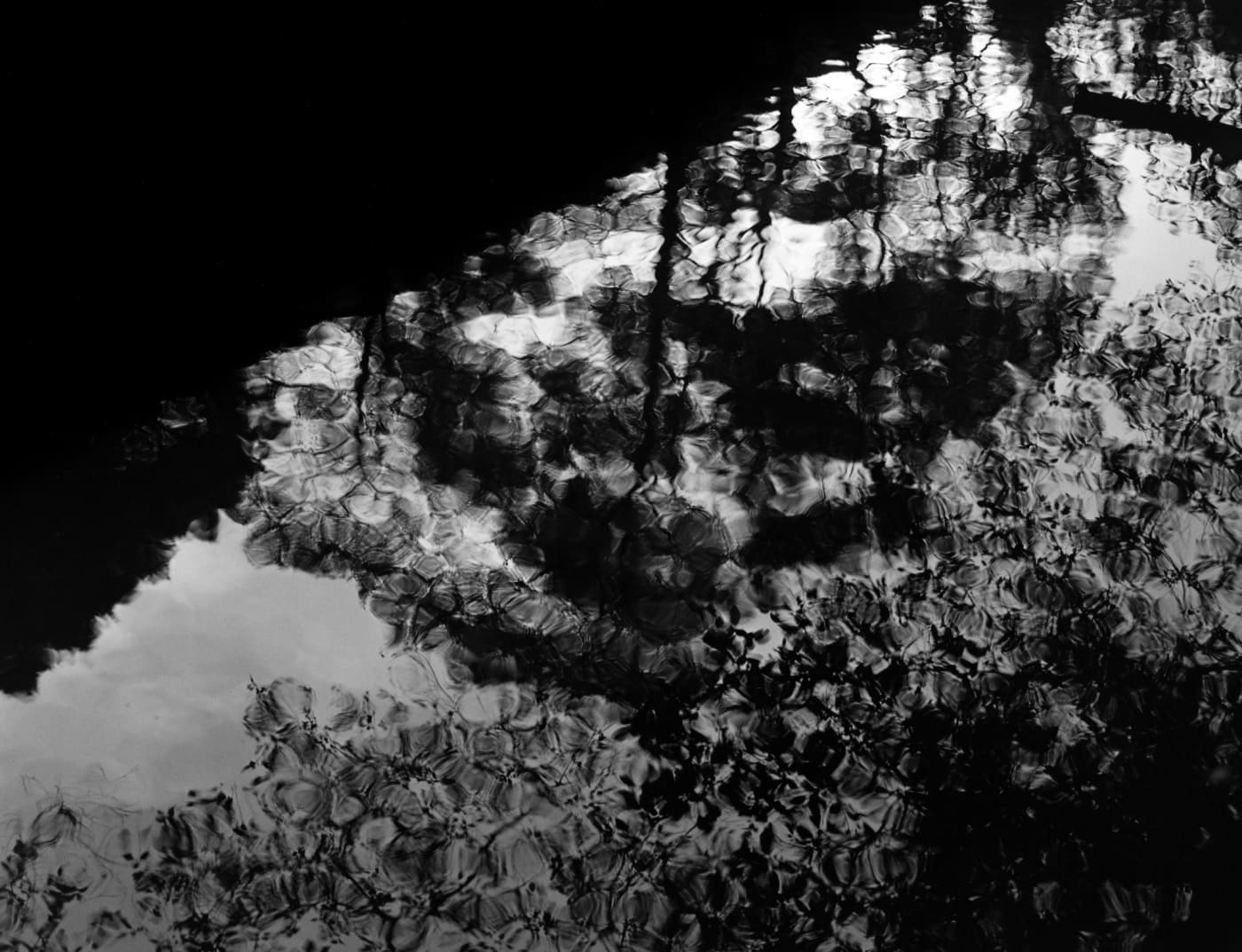 Zach Weston, Upside Down, 2022