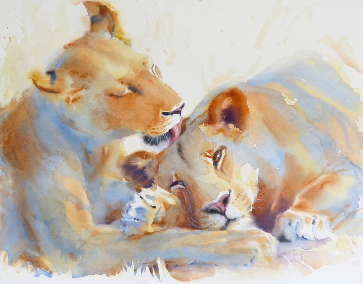 Hazel Soan, Licky Lions