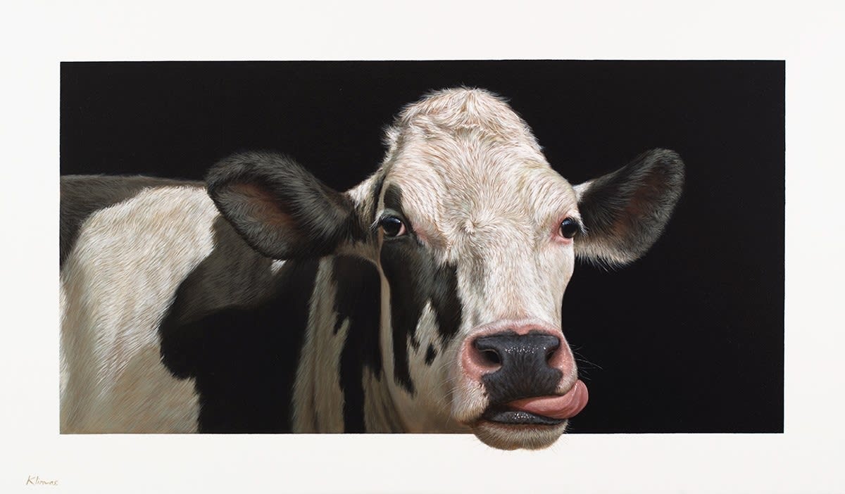 Alexandra Klimas, Susan the Cow, 2016