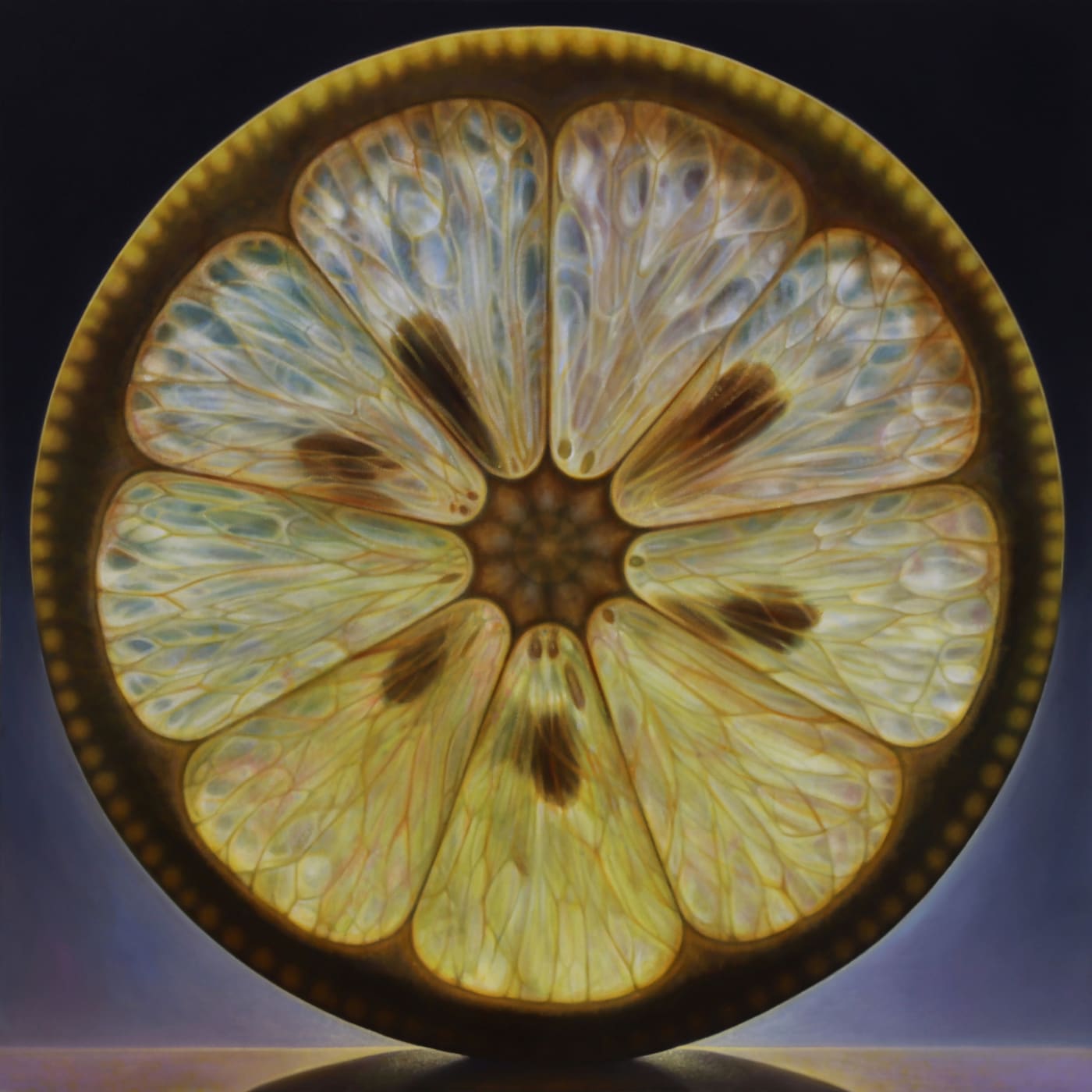 Dennis Wojtkiewicz, Rosette series #39