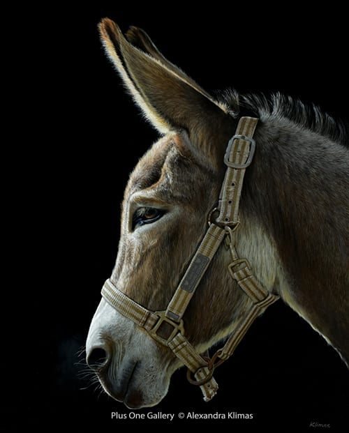 Alexandra Klimas, Hope the Donkey