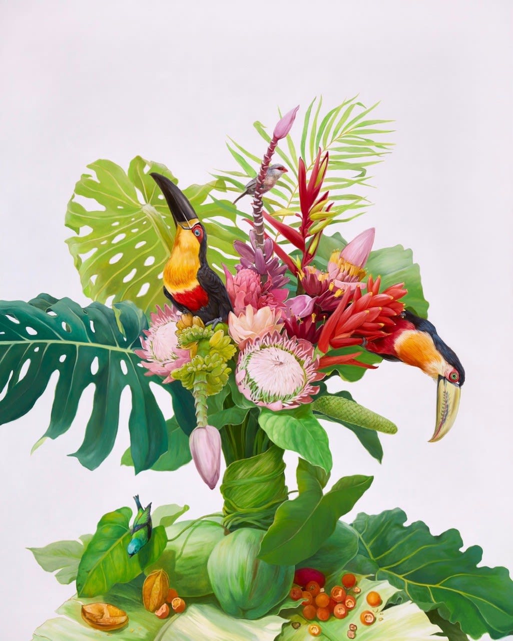 Gabriela Ezcurra, Toucans