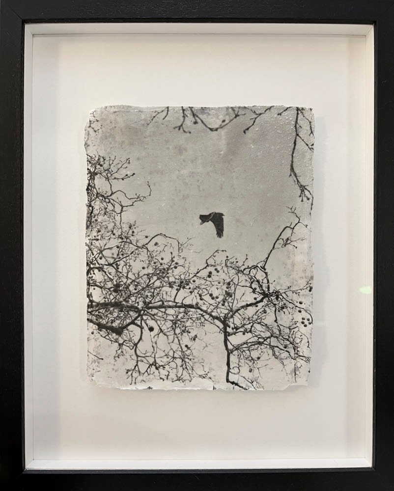 Luke White, Untitled 2, 2022
