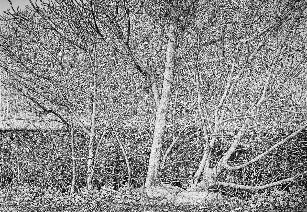 Roy Wright, Signs of Spring, 2017