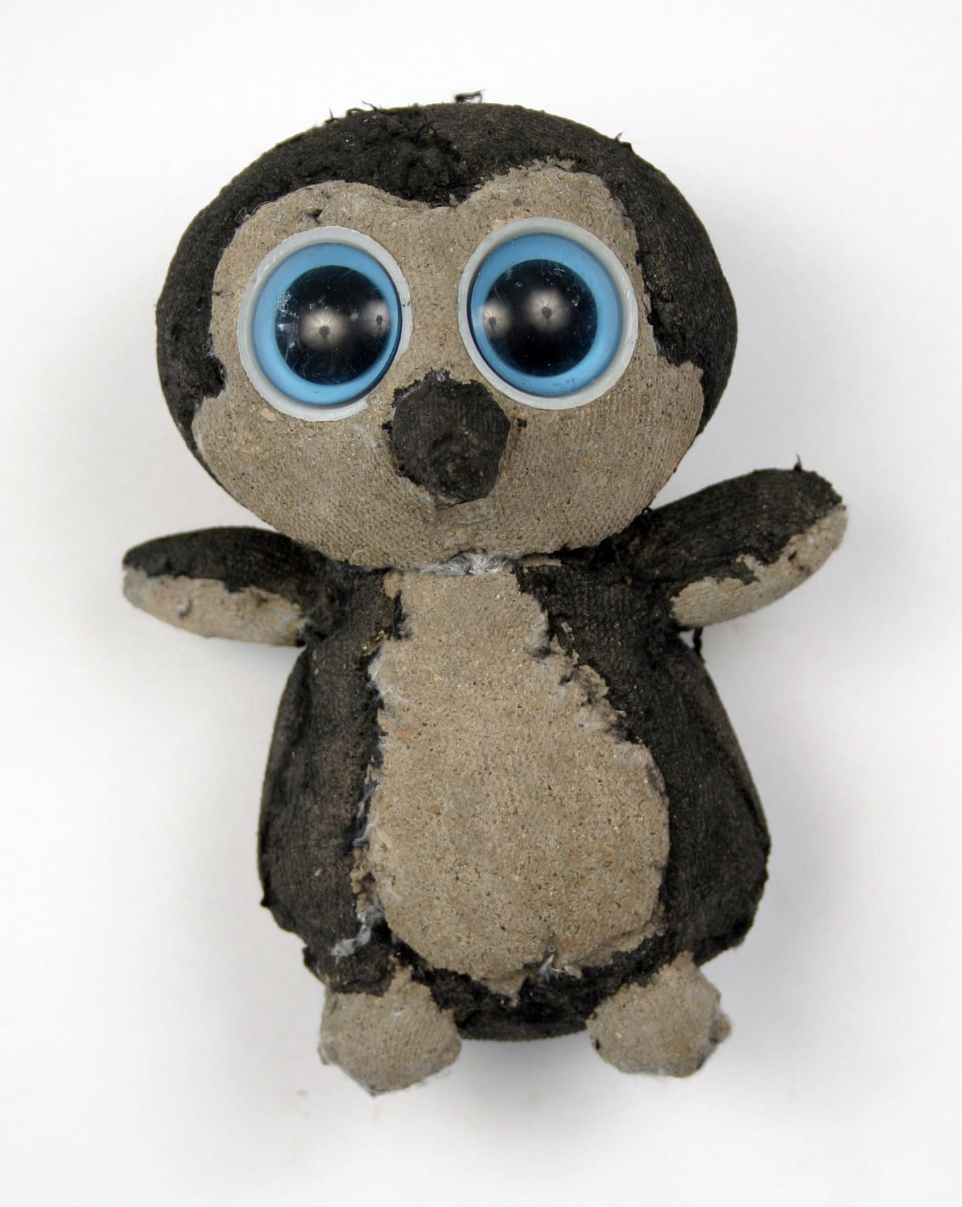 Ross Bonfanti, Penguin Big Eyes (c525), 2014