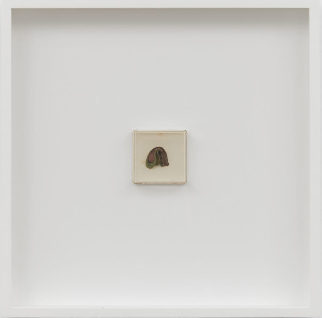 Hannah WILKE, Untitled, 1979