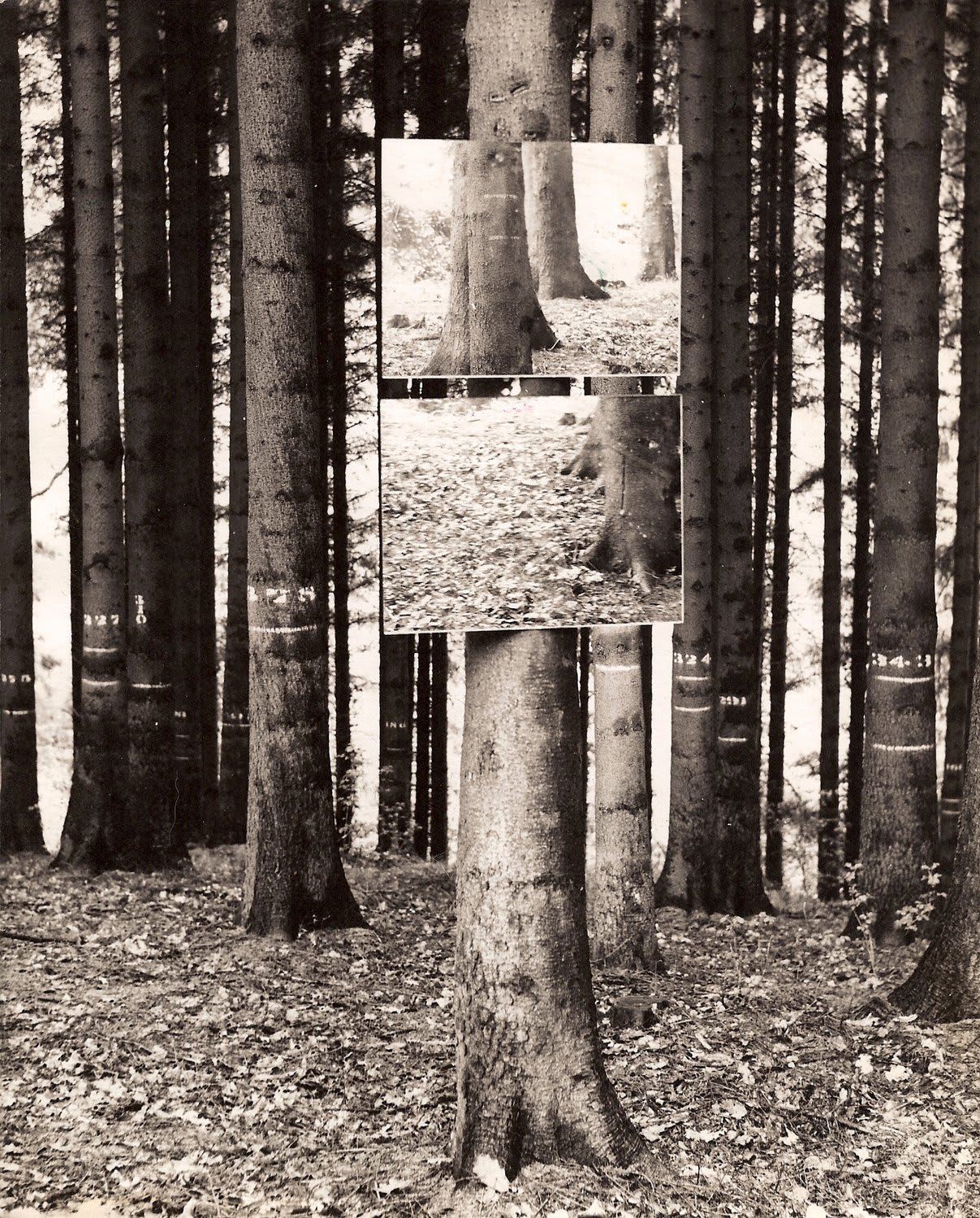 Keith ARNATT, Untitled, c. 1968