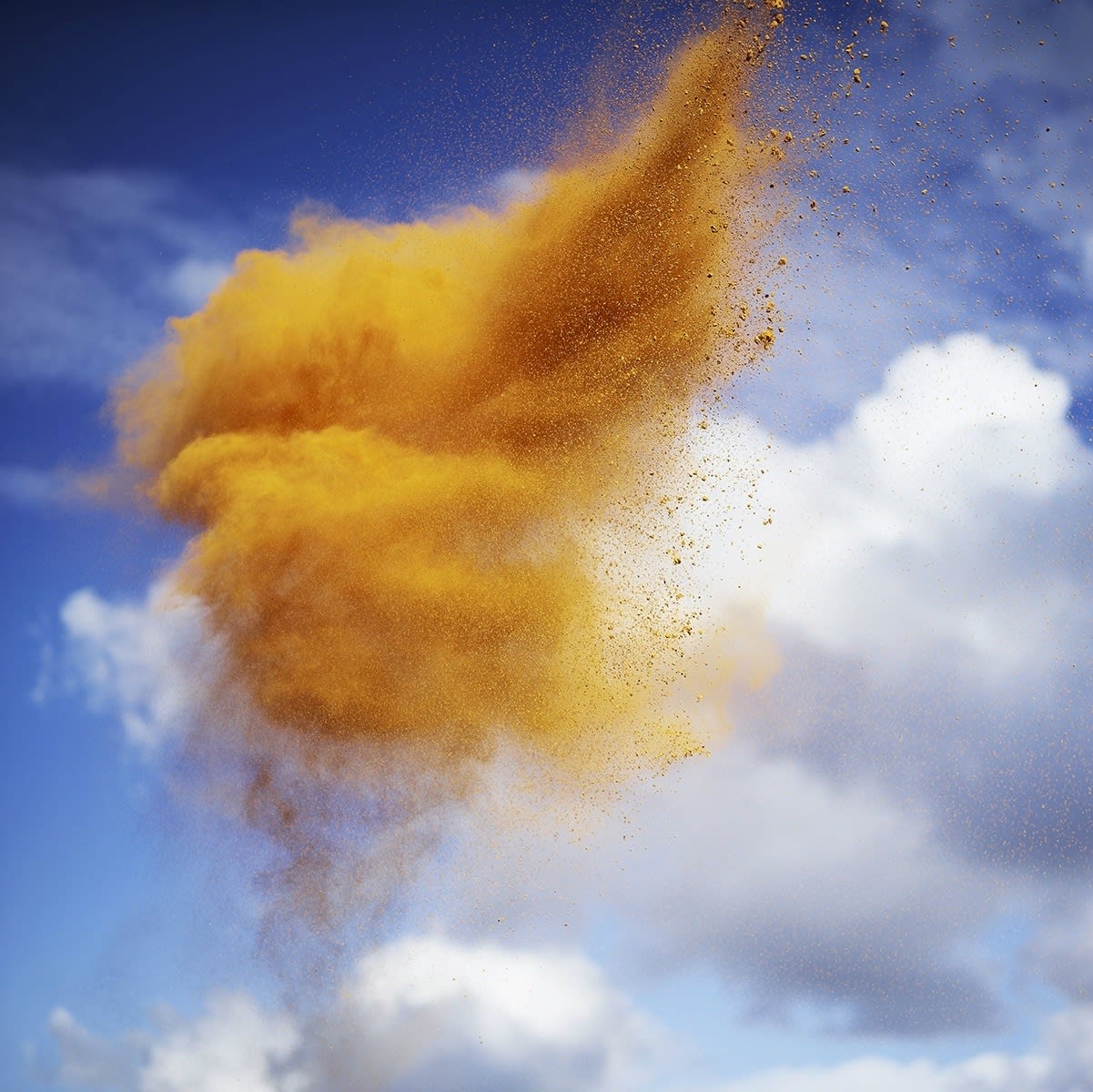 Rob and Nick Carter, Paint Pigment Photograph, Zanderin Golden, 2012