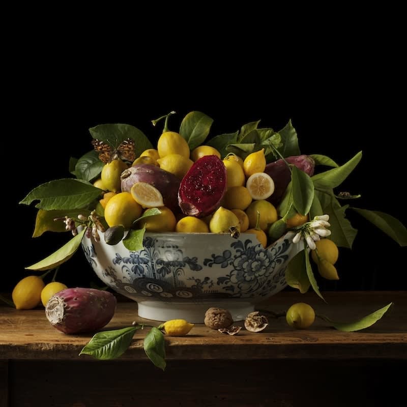 Paulette Tavormina, Lemons and Prickly Pears, 2013