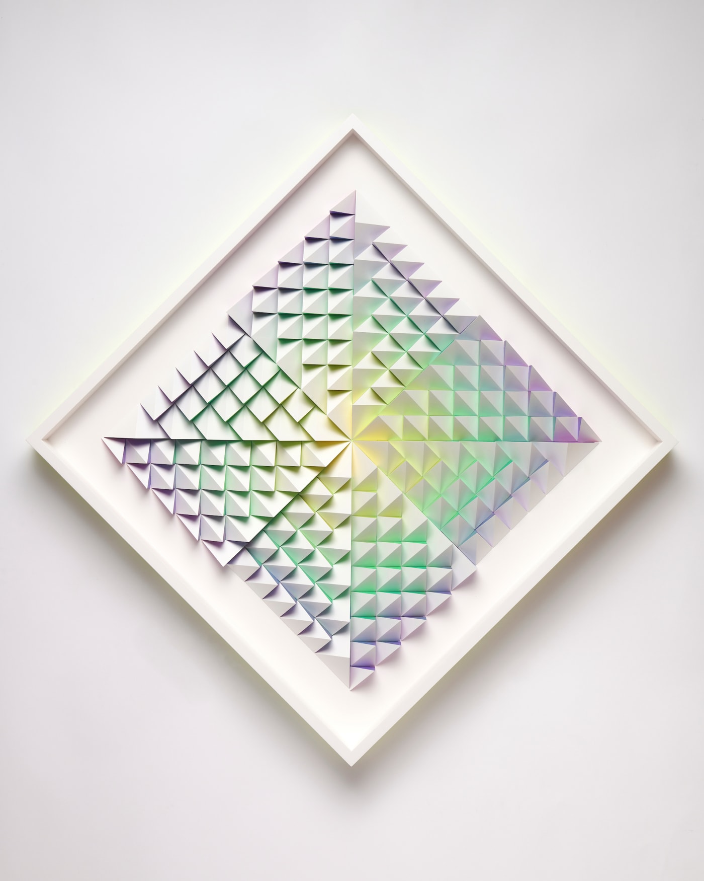 Sean Newport, Oz Garden Bloom, 2022