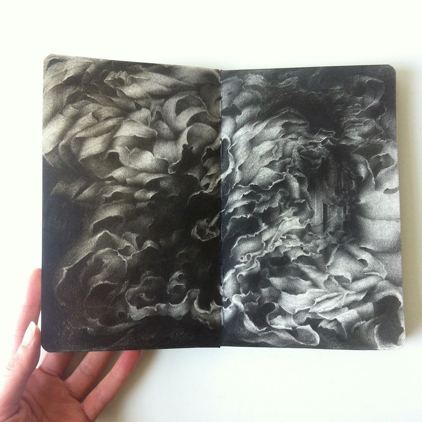 Lucy Hardie, Wild Horse, 2015