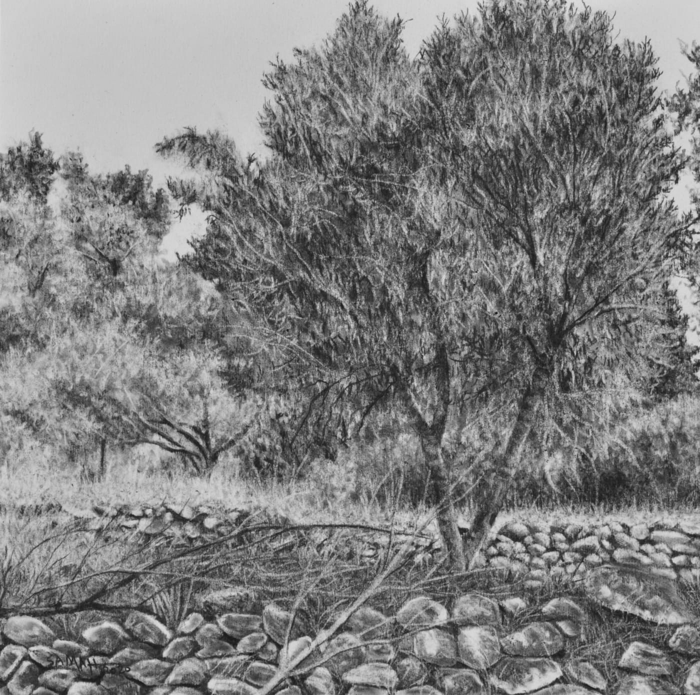 Samah Shihadi, Terra Studies 11, 2020