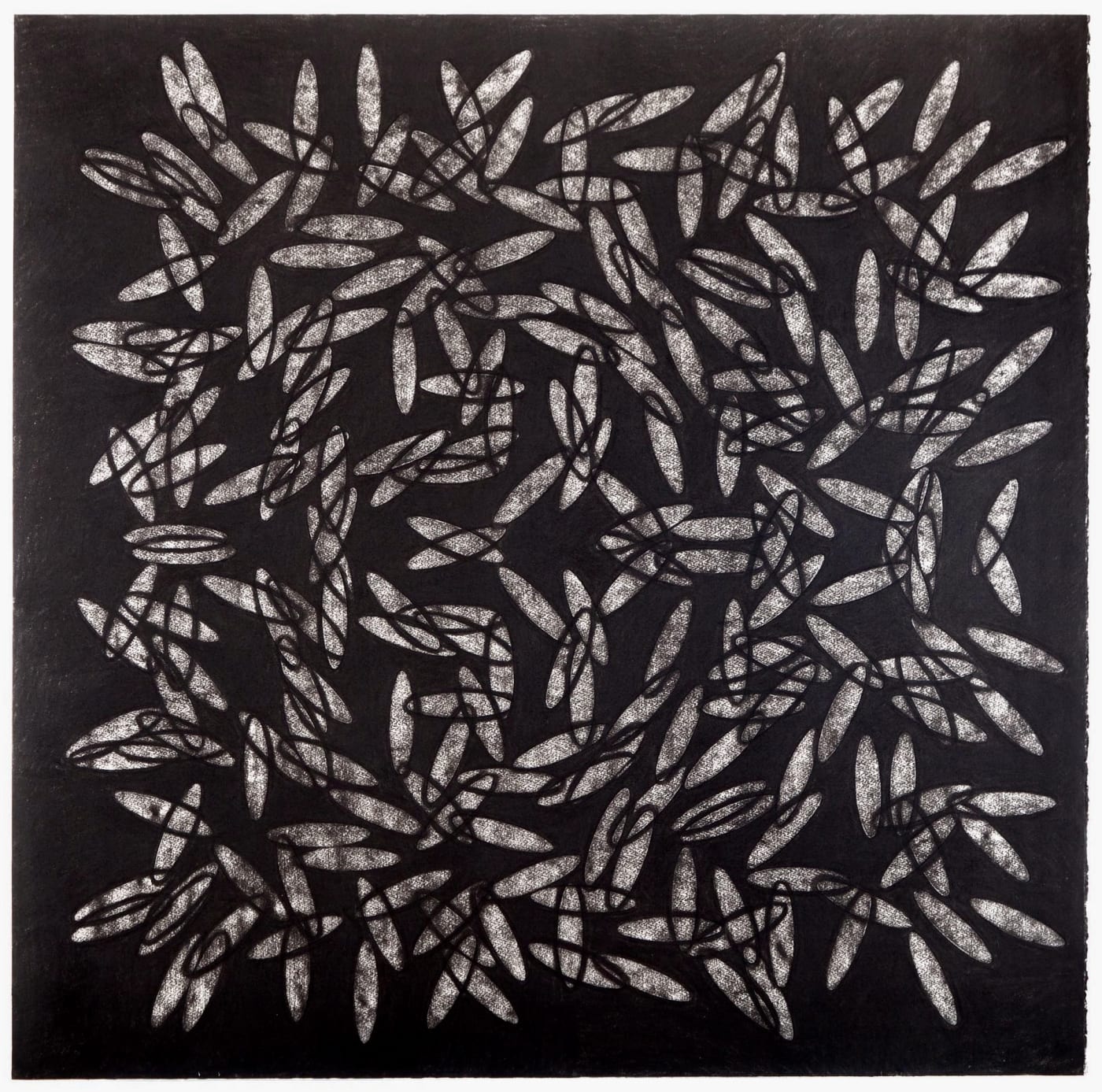 Tim Harrisson, Active Life III, 2019