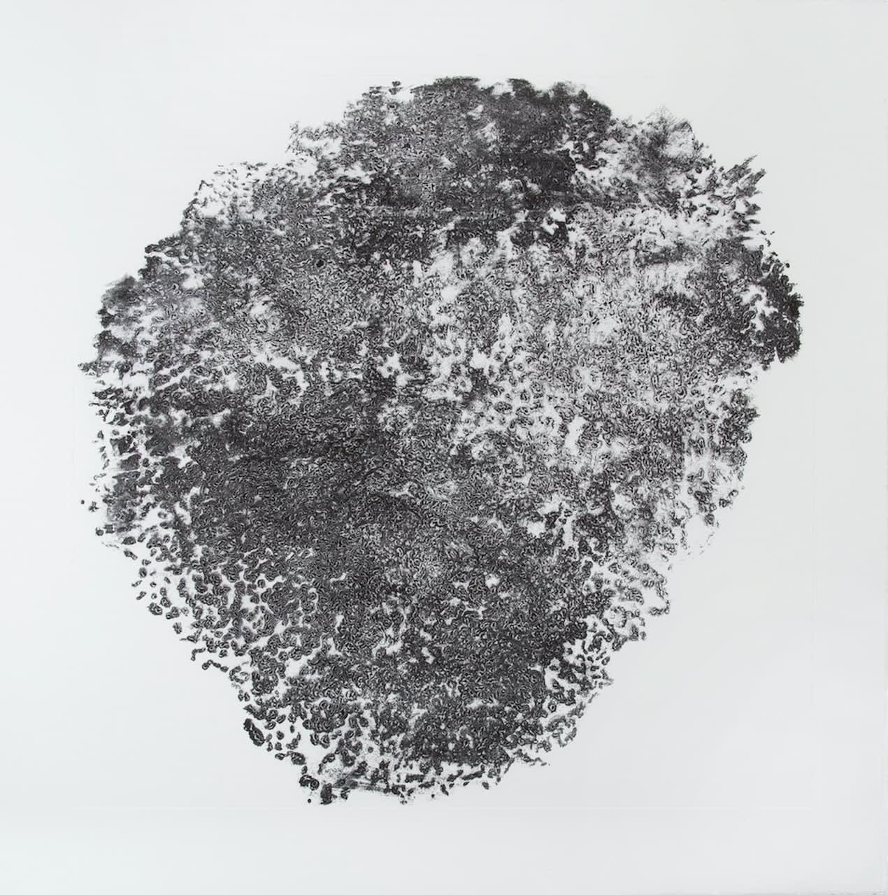 Tim Harrisson, A Pattern of Life iV, 2013