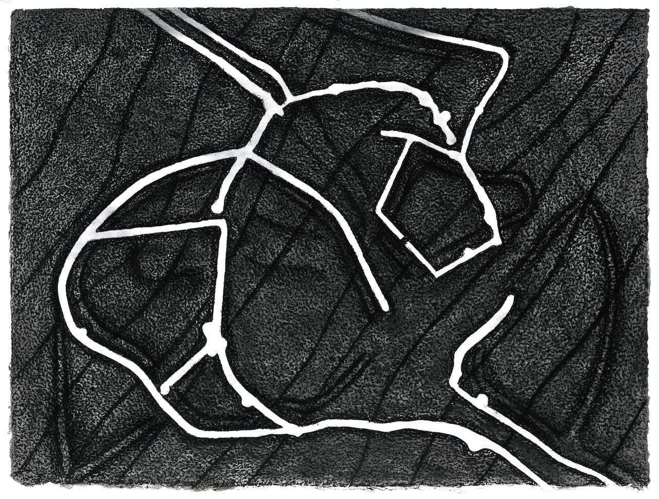 Tim Harrisson, Pitt Rivers Woodcutts Common, 2009
