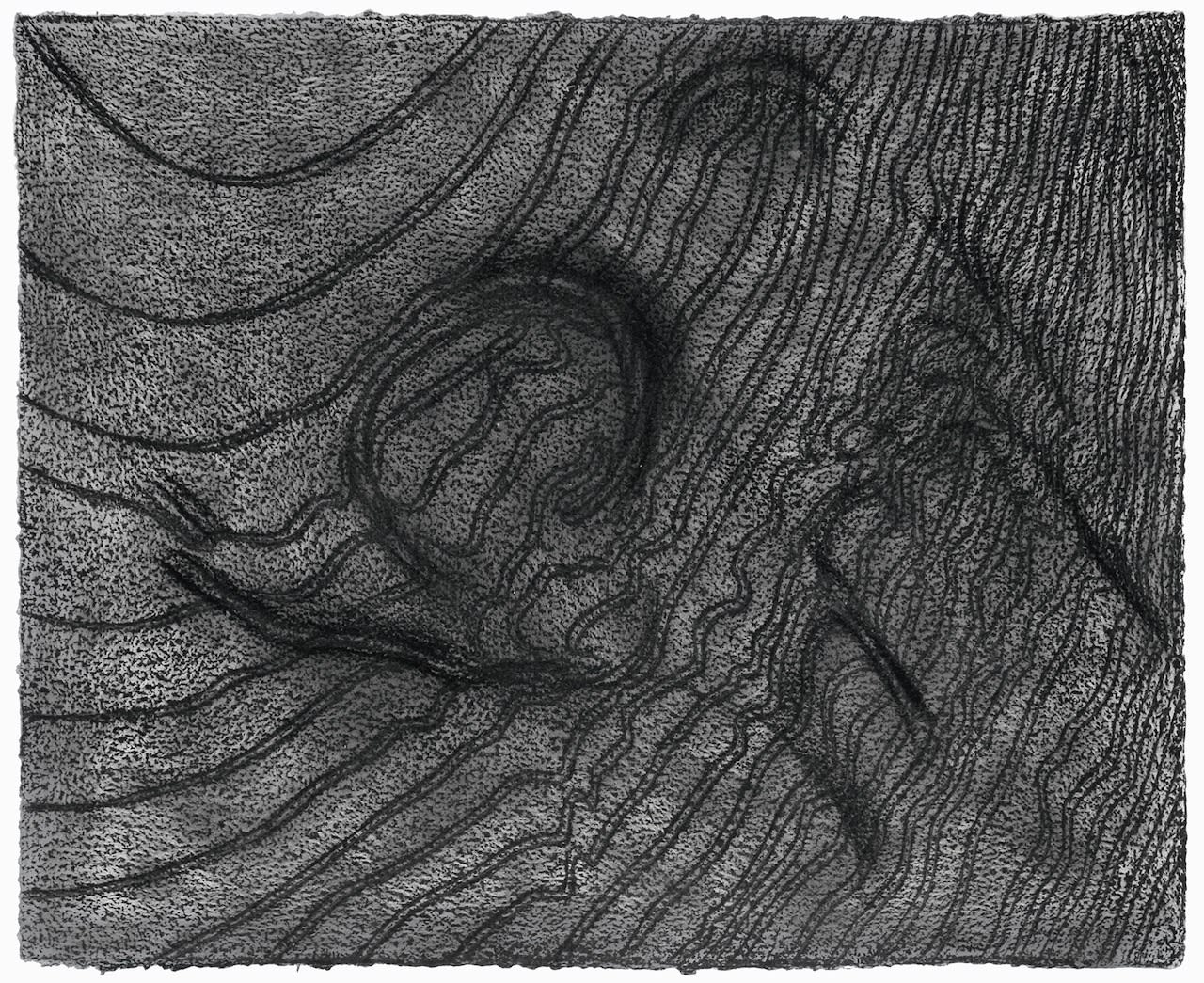 Tim Harrisson, Pitt Rivers Rotherley Down, 2009