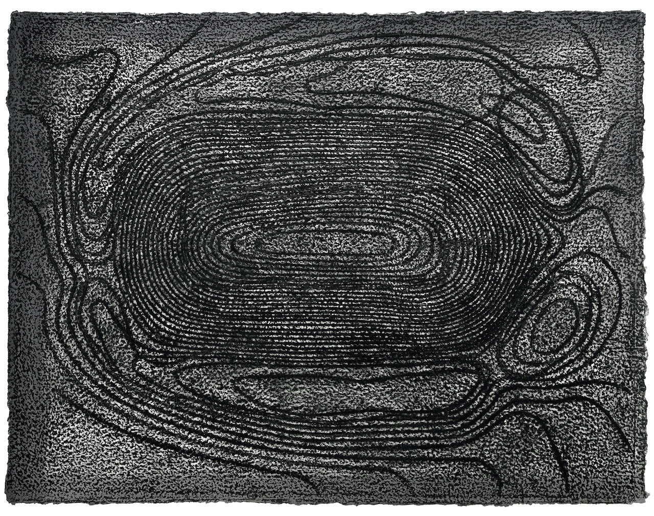 Tim Harrisson, Pitt Rivers Handley Down II, 2009
