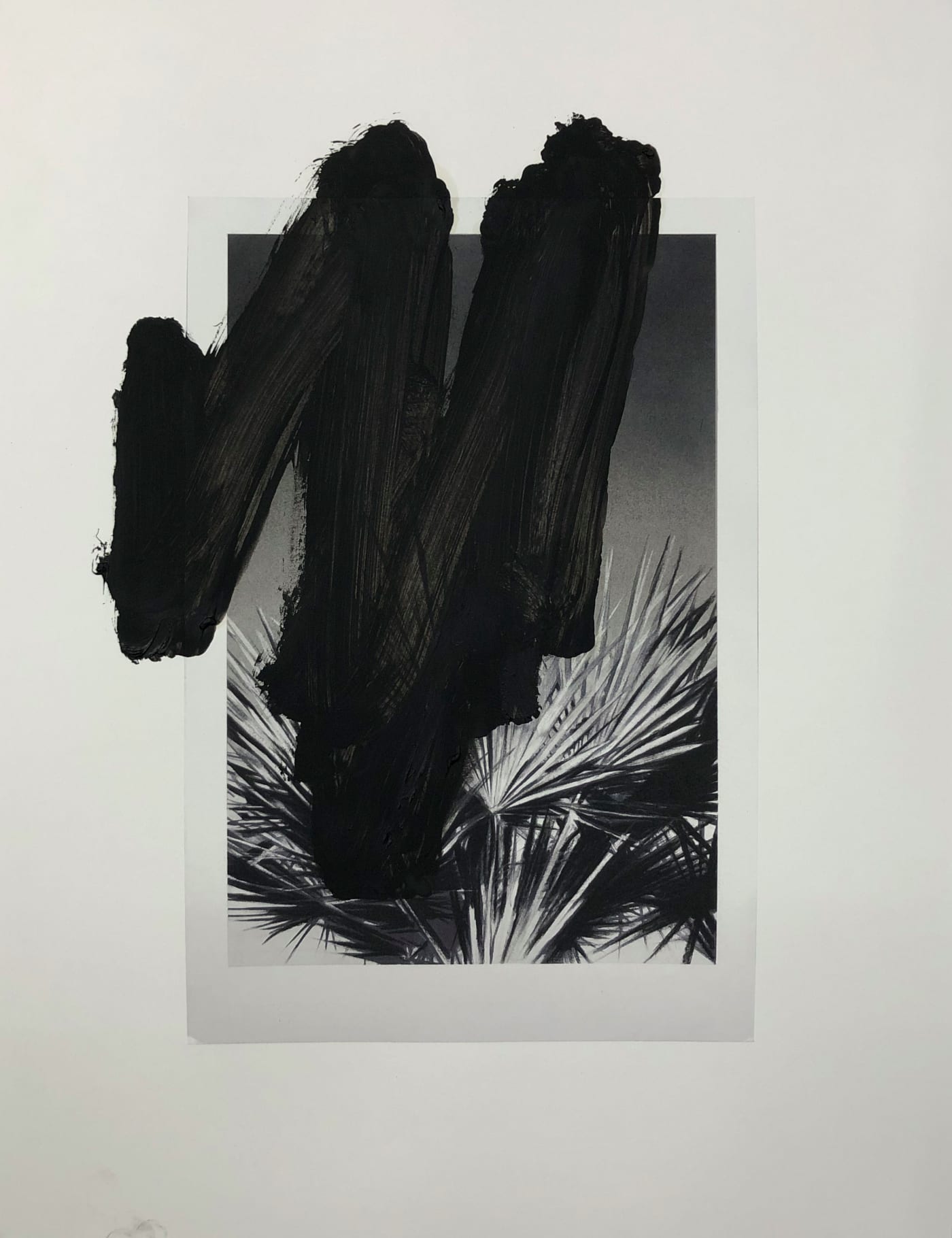VALENTIN VAN DER MEULEN, Recherche Végétation 05, 2020