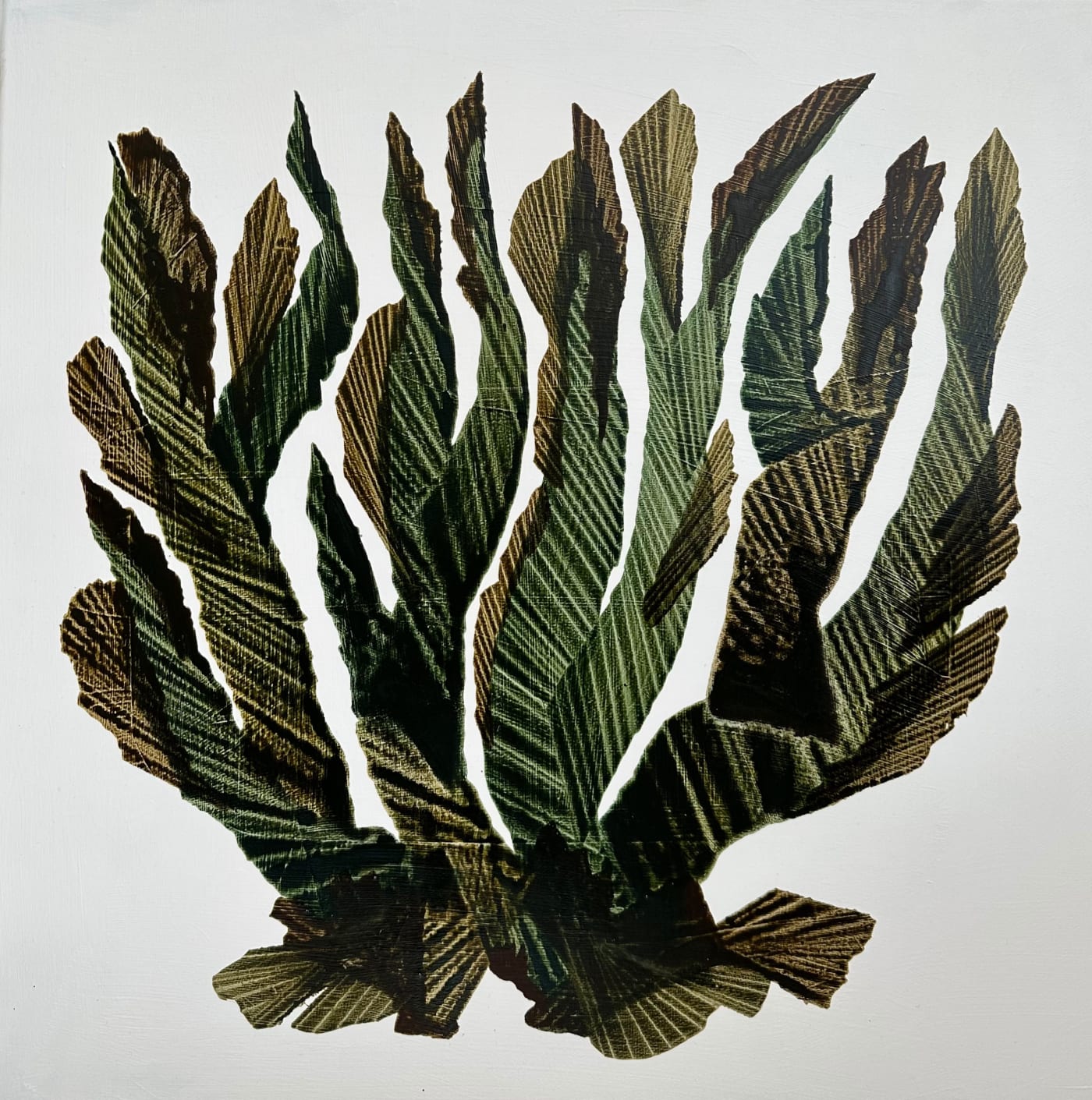 Tiffany Bouelle, WAKAME, 2023