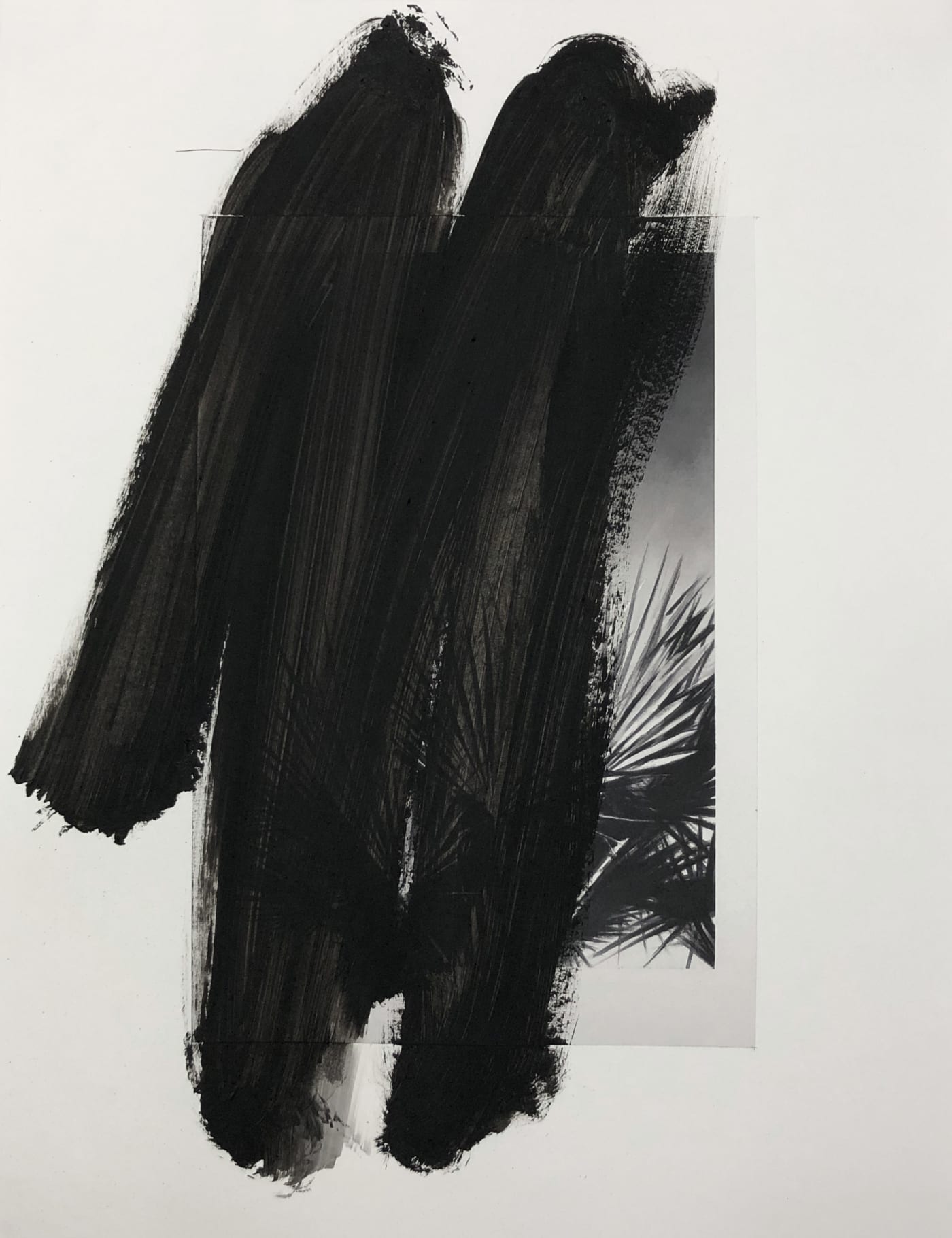 VALENTIN VAN DER MEULEN, Recherche Végétation 02, 2020