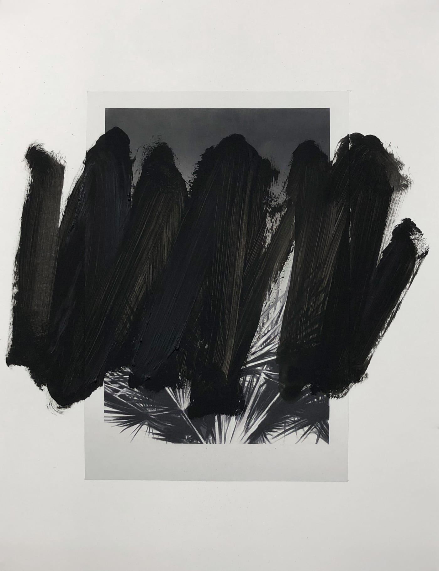 VALENTIN VAN DER MEULEN, Recherche Végétation 04, 2020