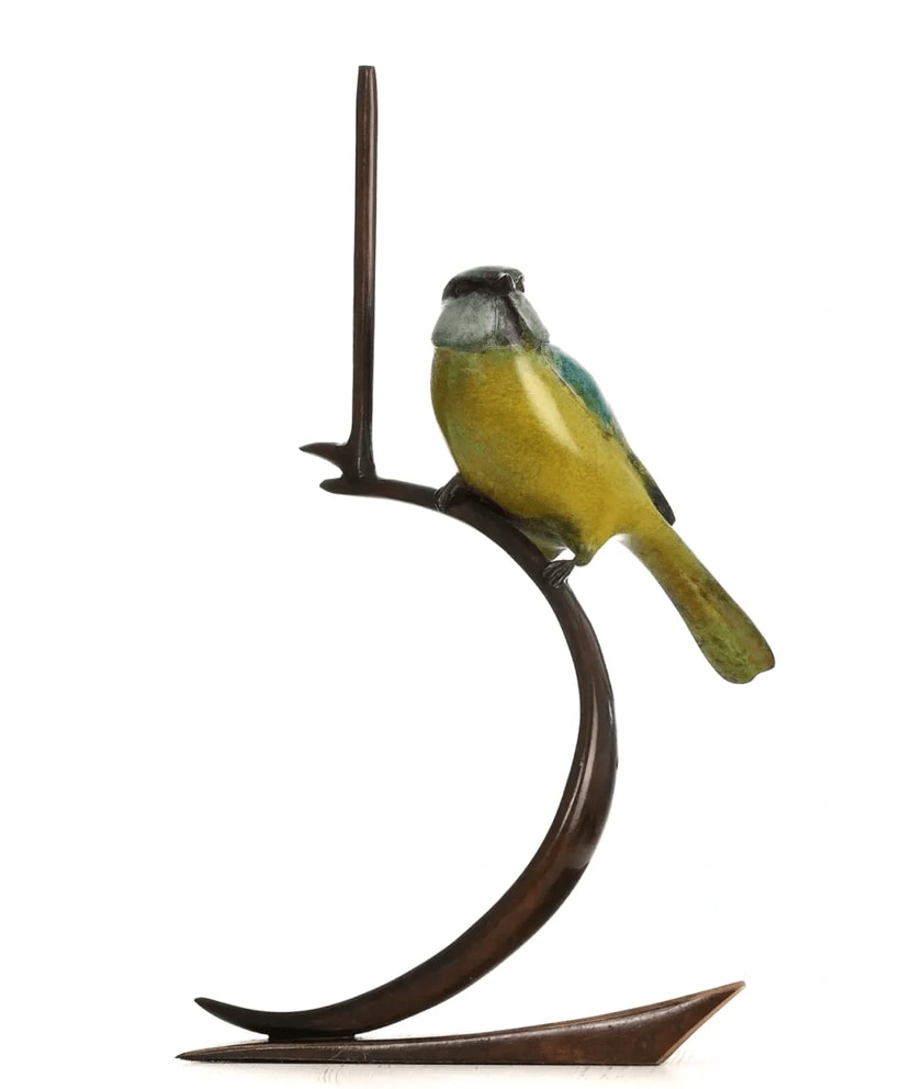 Matt Duke, CHANCE (BLUE TIT)