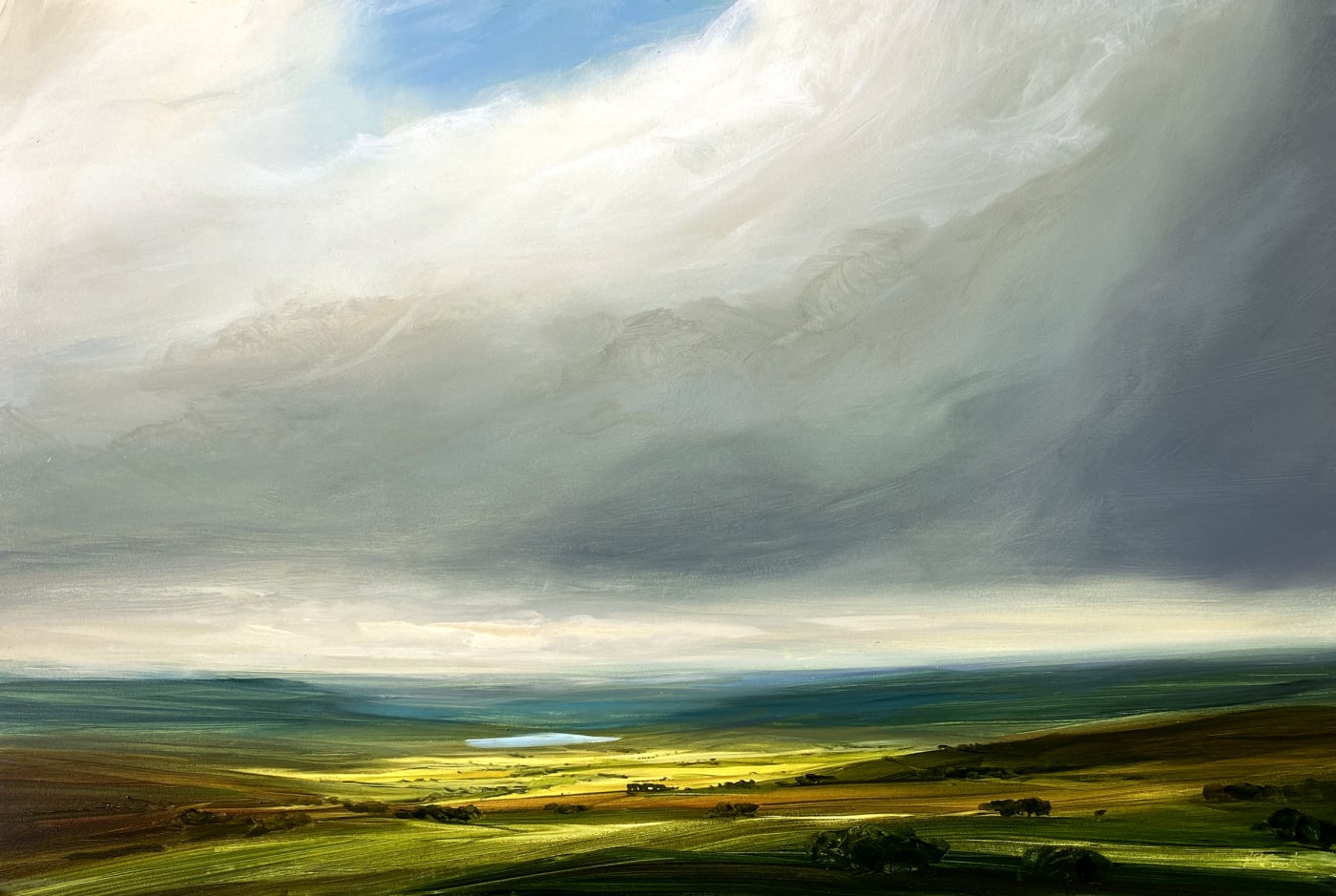 Harry Brioche, FIELDS OF GOLD