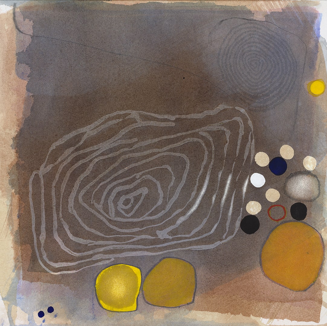 Edward Hutchison, SOIL, MICROBES AND LIFE 1