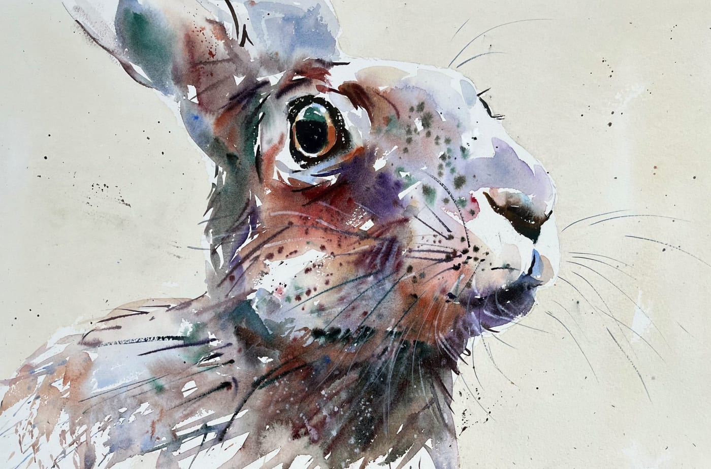 Jake Winkle, HARE STARE