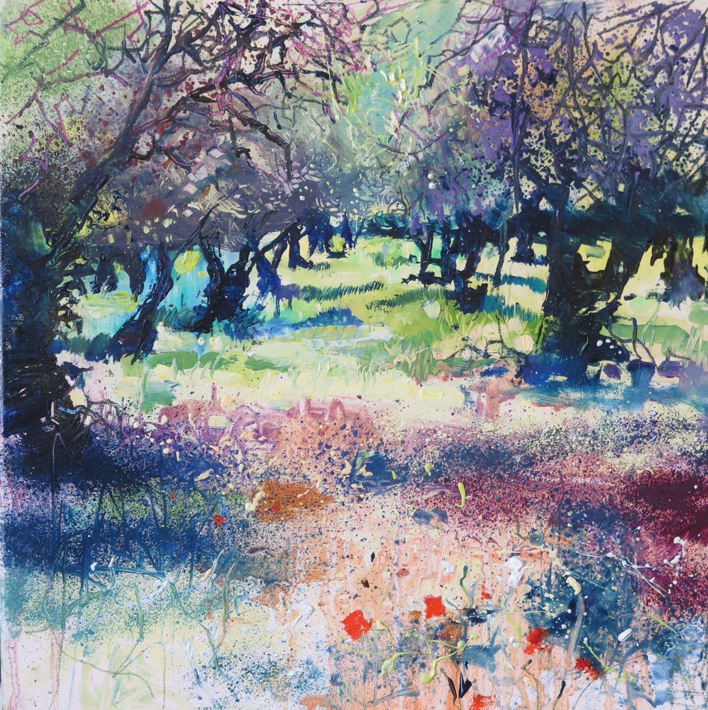 Maureen Davies, SPRING OLIVE GROVE