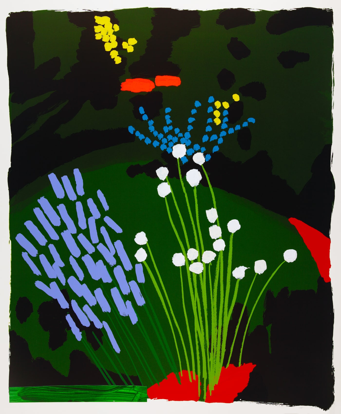 Bruce McLean, TULBAGHIA