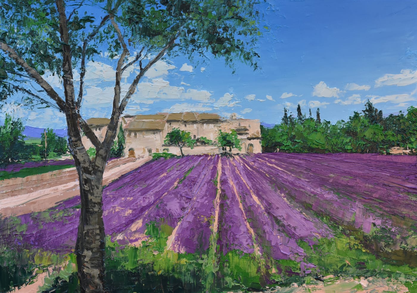 Colin Carruthers, FIELD OF LAVENDER, PROVENCE