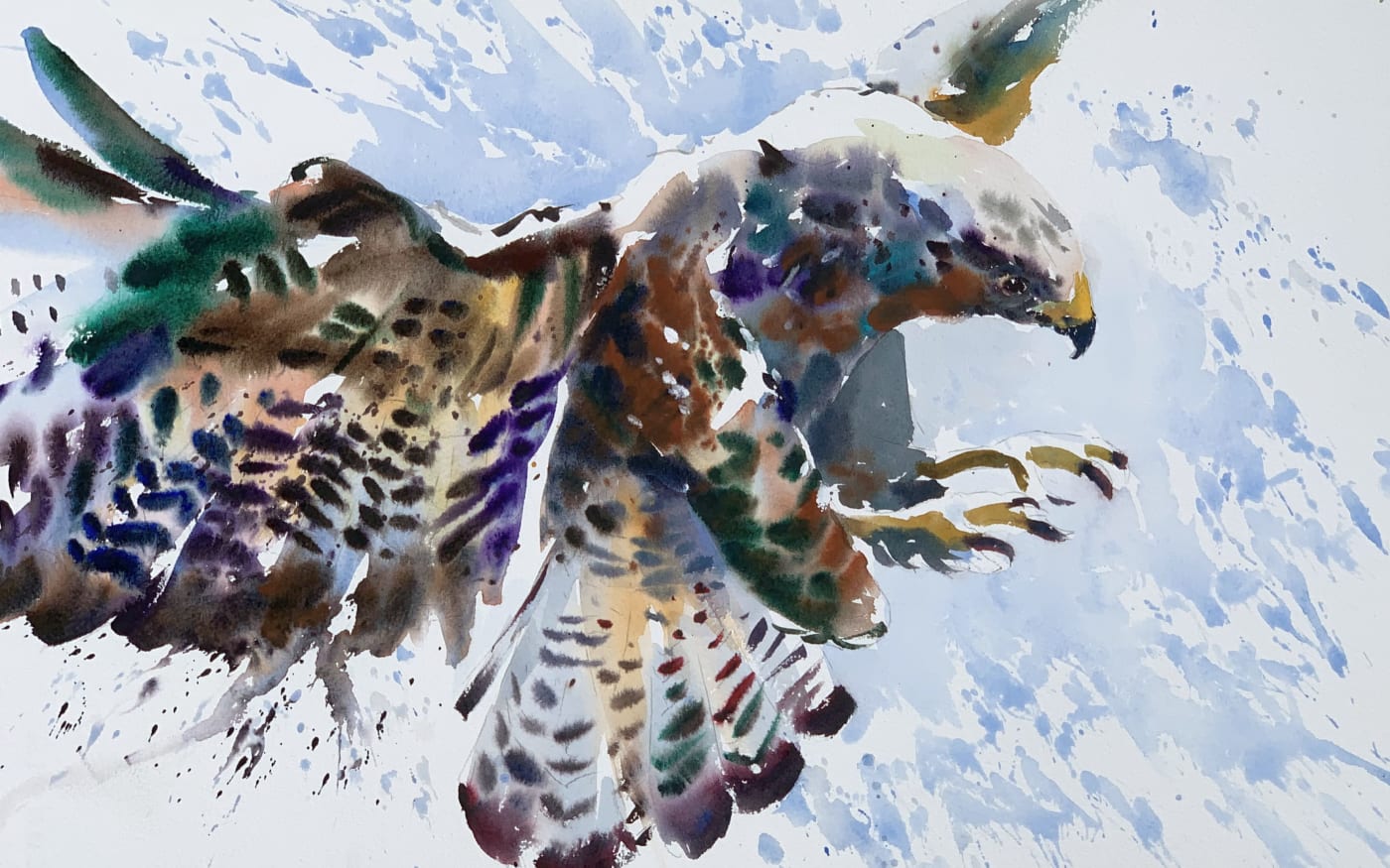 Jake Winkle, BUZZARD